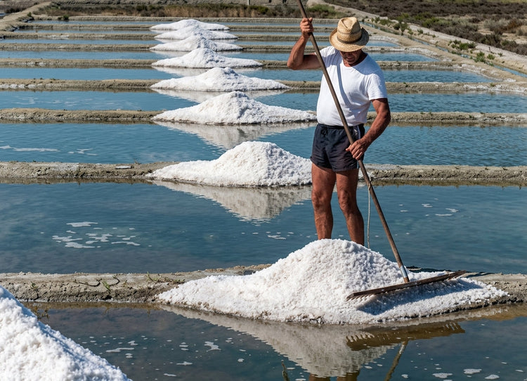 Sea Salt